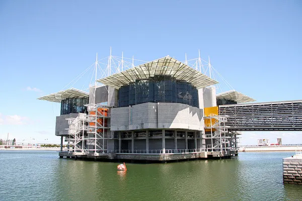 Lizbona | Oceanarium w Lizbonie Lizbona | Oceanarium w Lizbonie