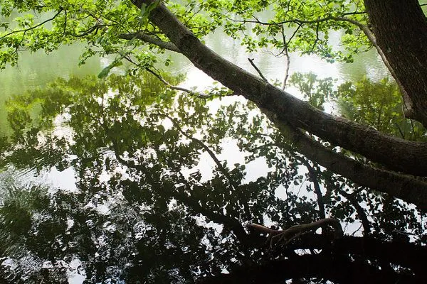 Zagrzeb | Park Maksimir Zagrzeb | Park Maksimir