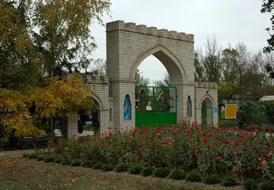 Askania Nowa – step, który nie zna pługa