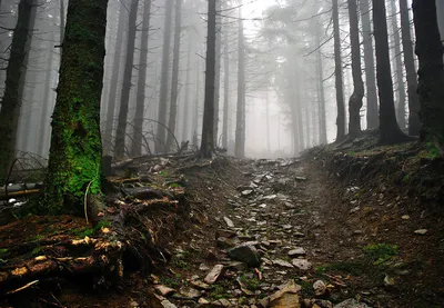 Góra Howerla - najwyższy punkt Ukrainy