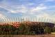 Stadion Narodowy (Warszawa)