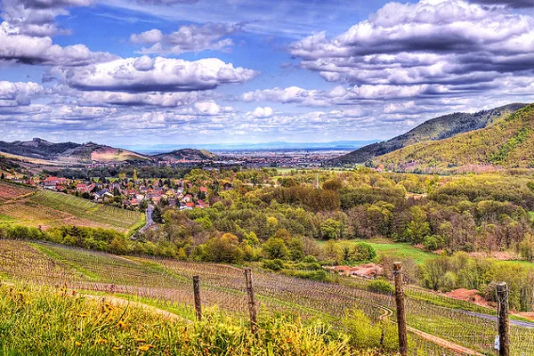 Francja | Malownicza Alzacja Francja | Malownicza Alzacja