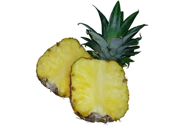 Brazylia | Soczysty owocostan ananasa jadalnego Brazylia | Soczysty owocostan ananasa jadalnego