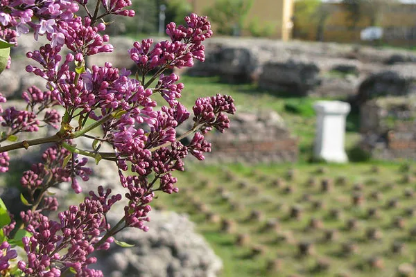 Turcja – Ankara | Ruiny rzymskich łaźni