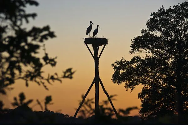 Romantyczny zachód słońca we dwoje Romantyczny zachód słońca we dwoje