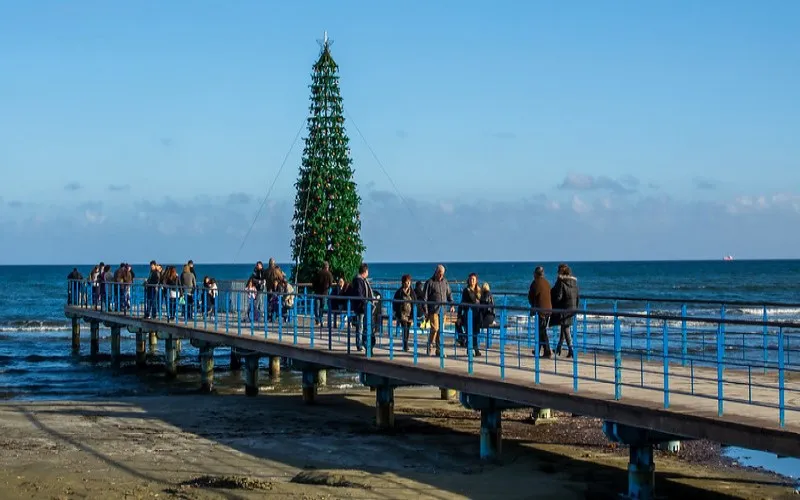 Cypr | Choinka w Larnace Cypr | Choinka w Larnace