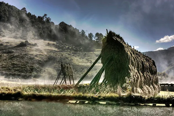 Chiny | Farma w Zhongdian, północna cześć prowincji Yunnan Chiny | Farma w Zhongdian, północna cześć prowincji Yunnan