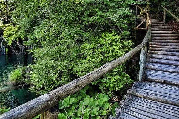 Chorwacja | Na terenie parku zliczono około 1100 gatunków roślin Chorwacja | Na terenie parku zliczono około 1100 gatunków roślin