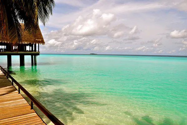 Malediwy | 1/3 kraju leży poniżej poziomu morza Malediwy | 1/3 kraju leży poniżej poziomu morza