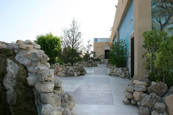 Cypr | Aquarium znaleźć można m.in. W Pafos i Protaras Cypr | Aquarium znaleźć można m.in. W Pafos i Protaras