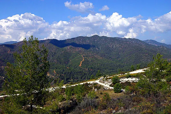 Cypr | Góry Troodos Cypr | Góry Troodos