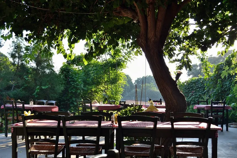 Cypr | Zawsze należy przyjąć zaproszenie do cypryjskiego stołu Cypr | Zawsze należy przyjąć zaproszenie do cypryjskiego stołu