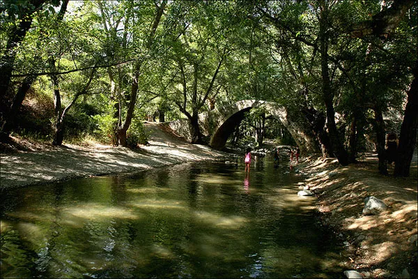 Cypr | Przepiękny las u brzegów rzeki Diarizos Cypr | Przepiękny las u brzegów rzeki Diarizos