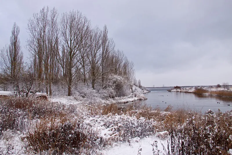 Dania | Późną jesienią i zimą robi się w całej Danii mało przytulnie