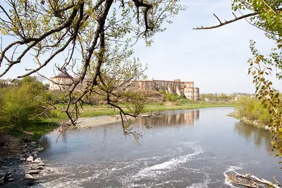 Dawny Międzybuż 2012: „Kroniki litewskie” (Festiwal)