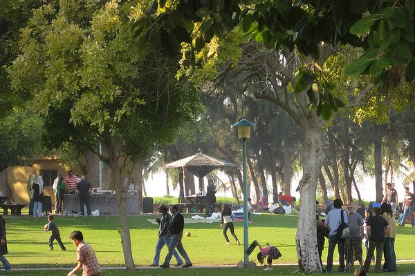 Dubaj | Piątkowe popołudnie z parku Jumeirah Beach Dubaj | Piątkowe popołudnie z parku Jumeirah Beach