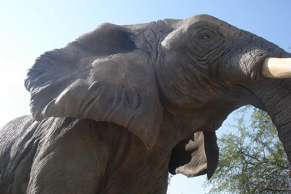 Dubaj | Dubailand ma być największym parkiem rozrywki na świecie Dubaj | Dubailand ma być największym parkiem rozrywki na świecie