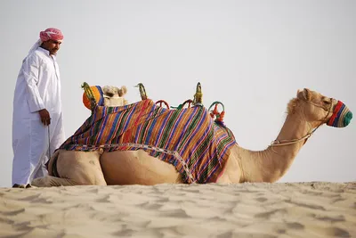 Kiedy jechać do Dubaju?