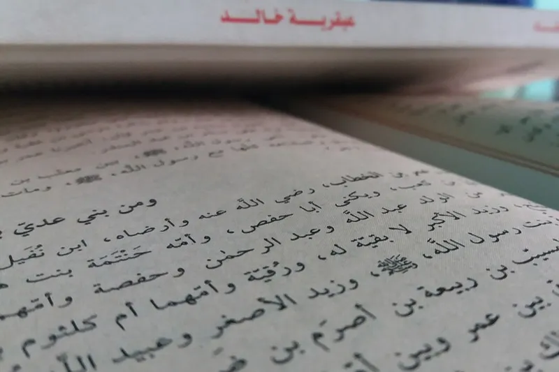 Egipt | Językiem używanym w Egipcie jest język arabski