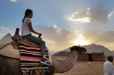 Kiedy jechać do Egiptu?