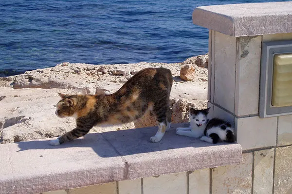 Cypr – Dystrykt Famagusta | Chwila relaksu w przystani Ayia Napa Cypr – Dystrykt Famagusta | Chwila relaksu w przystani Ayia Napa