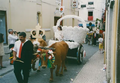 Festa Dos Tabuleiros – Święto Koszy (4-13 lipca 2015 rok)