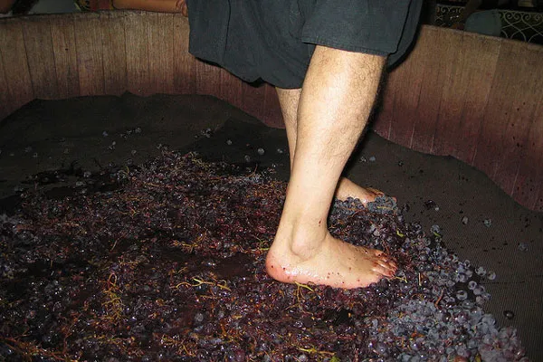 Cypr | Ugniatanie winogron