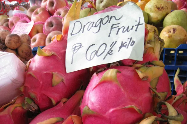 Filipiny | Pitaja, czyli Dragon Fruit na targu w Manili