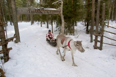 Kiedy jechać do Finlandii?