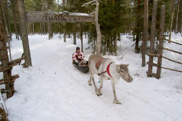 Finlandia | Finlandia to jedno z najbardziej wysuniętych na północ państw europejskich