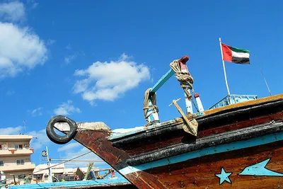 Flaga, herb i hymn Tunezji