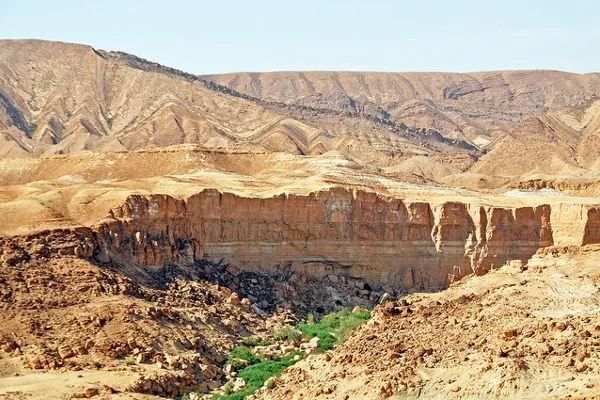 Tunezja | Oaza Chebika znajduje się niedaleko granicy z Algierią