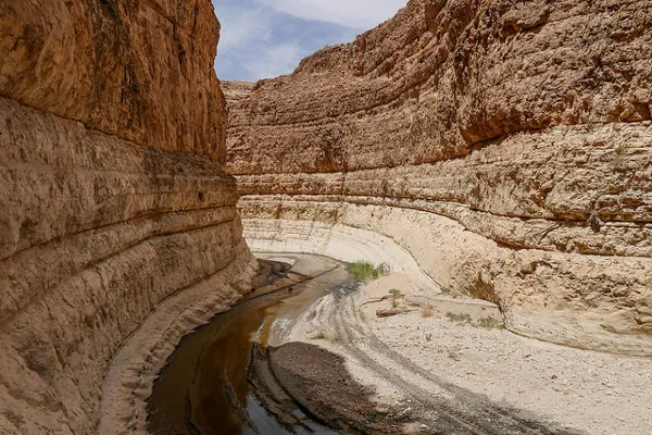 Tunezja | Oaza Tamerza jest największą i jedną z najpiękniejszych oaz Tunezji
