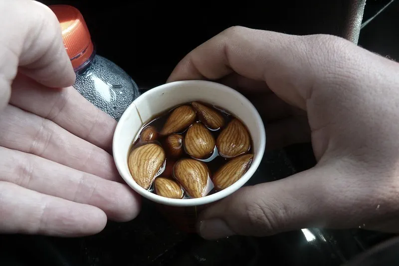 Tunezja | Herbata miętowa z migdałami Tunezja | Herbata miętowa z migdałami