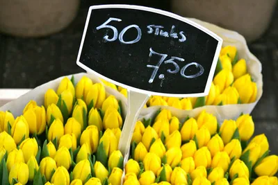 Zakupy i ceny w Holandii 2013