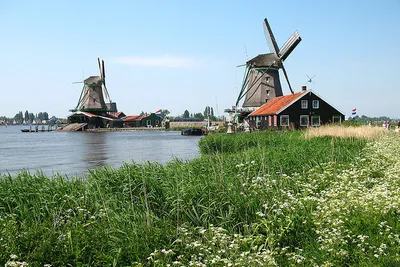 Kiedy jechać do Holandii?