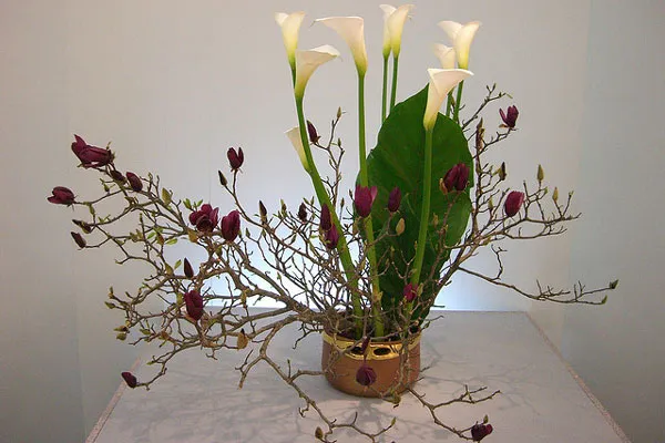 Japonia | Ikebana Japonia | Ikebana