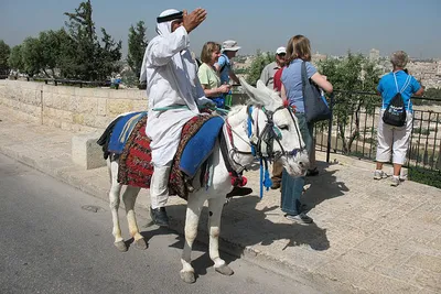 Bezpieczeństwo w Izraelu