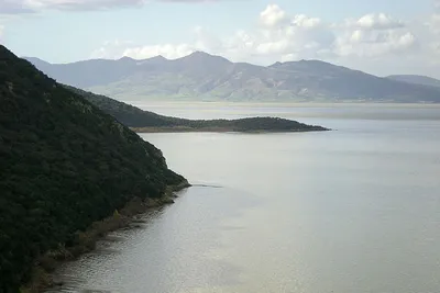 Park Narodowy Ichkeul