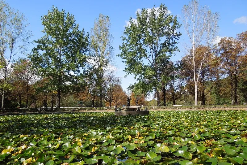 Sofia | Niesamowitego uroku nadają miastu liczne zielone akcenty