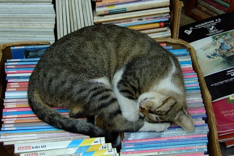 Turcja | Krótki odpoczynek na stoisku z książkami…