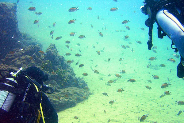 Lanzarote | Lanzarote jest idealnym miejscem do nurkowania o każdej porze roku