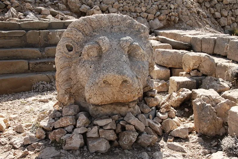 Turcja (Nemrut Dağı) | Głowa posągu lwa – świętego zwierzęcia Królestwa Kommageny