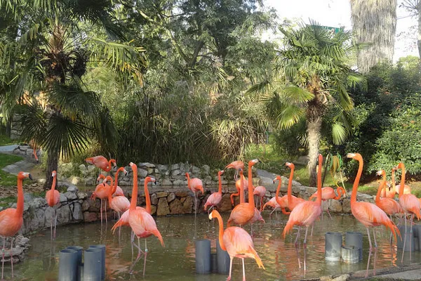 Portugalia | Lizbońskie Zoo to kolejna atrakcja dla całej rodziny Portugalia | Lizbońskie Zoo to kolejna atrakcja dla całej rodziny