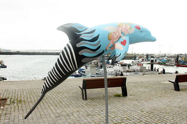 Portugalia | W Setubal można podglądać żyjące u wybrzeża miasta delfiny Portugalia | W Setubal można podglądać żyjące u wybrzeża miasta delfiny