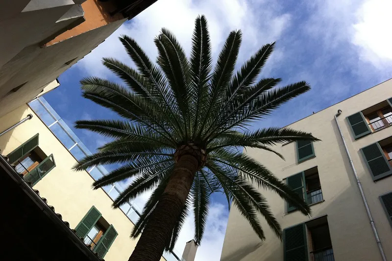 Majorka | Jesień podarowuje często piękne okresy z temperaturami powyżej 20 stopni Celsjusza 