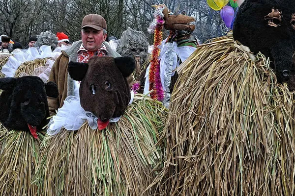 Ukraina | Malankowe niedźwiedzie
