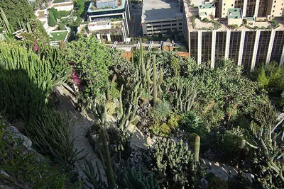 Ogród Egzotyczny (Jardin exotique de Monaco)