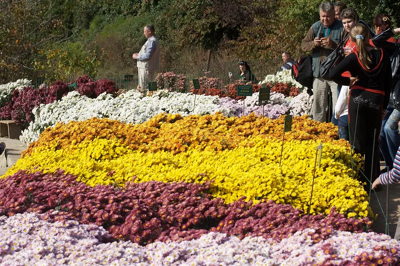 Ukraina | Piękne uczestniczki „balu” wzbudzają zainteresowanie fotografów Ukraina | Piękne uczestniczki „balu” wzbudzają zainteresowanie fotografów
