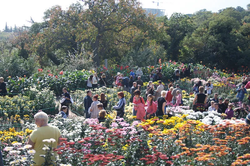 Ukraina | Nikitski Ogród Botaniczny w okolicach Jałty Ukraina | Nikitski Ogród Botaniczny w okolicach Jałty